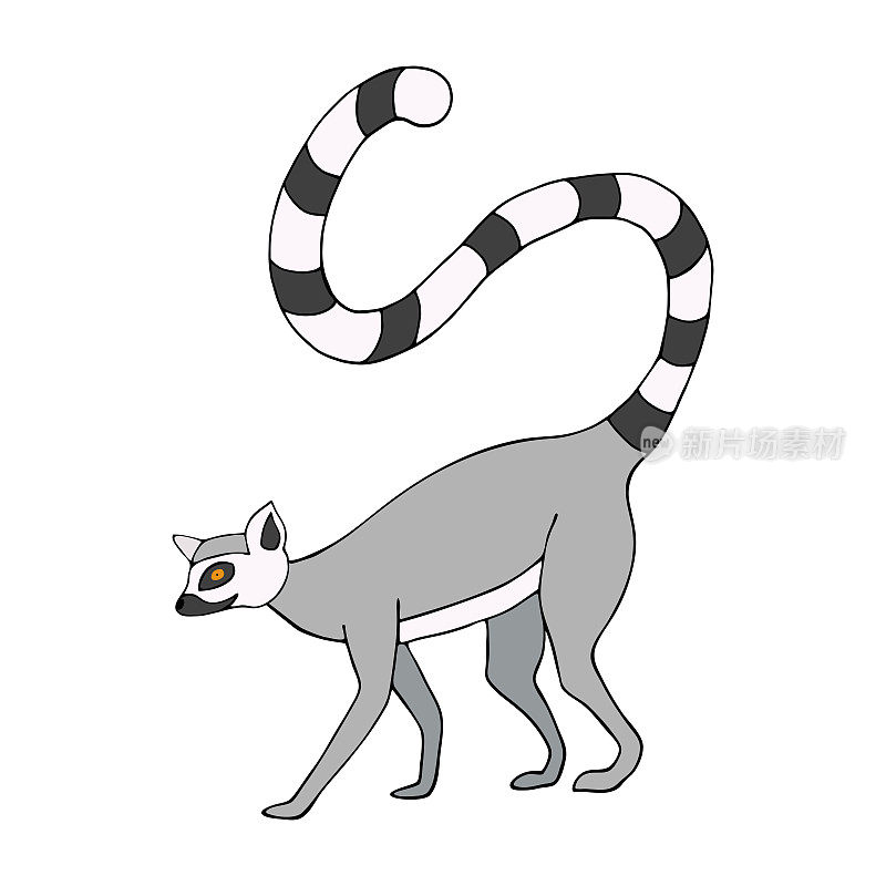 Funny grey lemur on a white background. Curving striped tail, playful mood. Vector illustration for printing on Wallpaper, prints, patterns